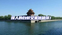 煩人的白蟻又來(lái)搞破壞!