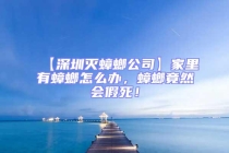 【深圳滅蟑螂公司】家里有蟑螂怎么辦，蟑螂竟然會假死！