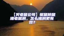 【滅老鼠公司】驅鼠防鼠堵老鼠洞，怎么堵洞更有效？
