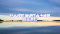 什么樣的蟑螂藥大小蟑螂都能殺死