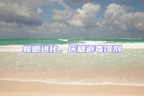 蟑螂進化，厭糖避毒餌劑