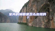 室內的蟑螂是怎么出現的?