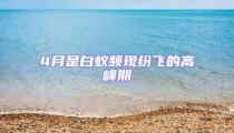 4月是白蟻頻現紛飛的高峰期
