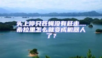 頭上停只蒼蠅沒有趕走....希拉里怎么就變成機器人了?