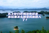 頭上停只蒼蠅沒有趕走....希拉里怎么就變成機(jī)器人了？