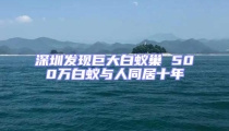 深圳發(fā)現(xiàn)巨大白蟻巢 500萬白蟻與人同居十年