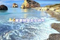 家里臭蟲(chóng)怎么消滅