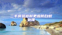 二手房裝修時更應防白蟻處理