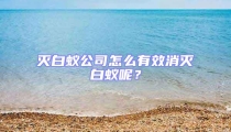 滅白蟻公司怎么有效消滅白蟻呢?