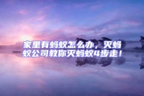 家里有螞蟻怎么辦，滅螞蟻公司教你滅螞蟻4步走！
