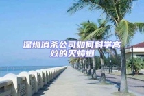 深圳消殺公司如何科學(xué)高效的滅蟑螂