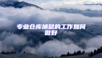 專業倉庫捕鼠的工作如何做好