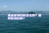家庭發(fā)現(xiàn)白蟻怎么辦？如何防治白蟻？