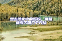 想去除家中的螞蟻，可以參考下面幾個方法