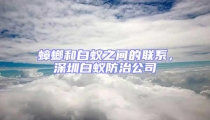 蟑螂和白蟻之間的聯(lián)系,深圳白蟻防治公司