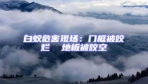 白蟻危害現場:門框被咬爛  地板被咬空