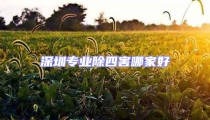 深圳專(zhuān)業(yè)除四害哪家好