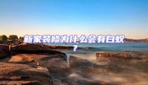新家裝修為什么會有白蟻?