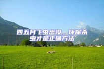 四五月飛蟲出沒，環(huán)保殺蟲才是正確方法