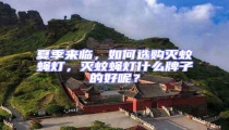 夏季來臨,如何選購滅蚊蠅燈,滅蚊蠅燈什么牌子的好呢?