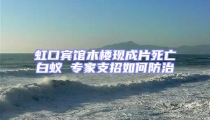 虹口賓館木樓現成片死亡白蟻 專家支招如何防治