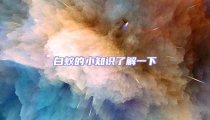 白蟻的小知識了解一下