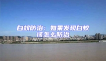 白蟻防治:如果發現白蟻該怎么防治