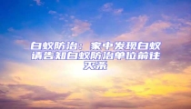 白蟻防治:家中發(fā)現(xiàn)白蟻請(qǐng)告知白蟻防治單位前往滅殺