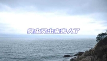 臭蟲又出來(lái)害人了