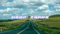 科普知識(shí):蒼蠅的種類
