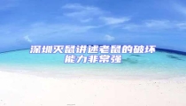 深圳滅鼠講述老鼠的破壞能力非常強(qiáng)