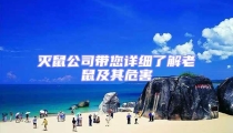 滅鼠公司帶您詳細了解老鼠及其危害