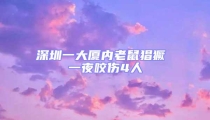 深圳一大廈內(nèi)老鼠猖獗 一夜咬傷4人