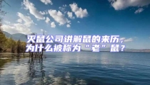 滅鼠公司講解鼠的來歷,為什么被稱為“老”鼠?