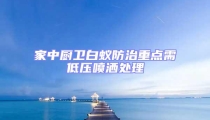 家中廚衛(wèi)白蟻防治重點(diǎn)需低壓噴灑處理