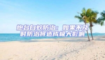 炮臺白蟻防治:如果不及時防治將造成極大影響