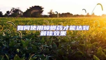 如何使用蟑螂藥才能達(dá)到最佳效果