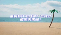 果蠅有什么危害?怎樣才能消滅果蠅?