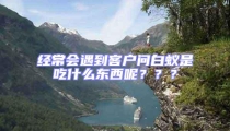 經(jīng)常會遇到客戶問白蟻是吃什么東西呢???