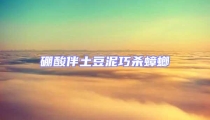 硼酸伴土豆泥巧殺蟑螂