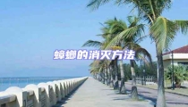 蟑螂的消滅方法