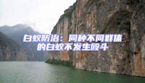 白蟻防治:同種不同群體的白蟻不發生毆斗