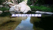 殺臭蟲的方法有哪些