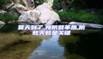 夏天到了,預防登革熱,防蚊滅蚊是關鍵