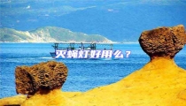 滅蠅燈好用么?