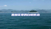 園林花草的白蟻防治