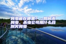 臭蟲藏在哪里？--如何殺臭蟲，殺蟲公司用什么藥劑滅臭蟲