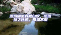 深圳哪里有除白蟻,必須持之以恒,常抓不懈