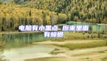 電腦有小黑點 原來里面有蟑螂