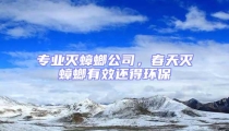 專(zhuān)業(yè)滅蟑螂公司,春天滅蟑螂有效還得環(huán)保